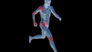 Biomeccanica e nordic walking