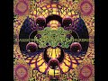Click here to watch this video Slinky Wizard - Lunar Juice (Hallucinogen Moon Strudel Remix)
