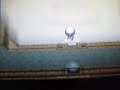 Pokemon Pearl Catching Episode 3: Giratina