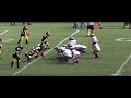 The Beast aka Polamalu Big Hit 5 The Beast aka Polamalu Big Hit 5