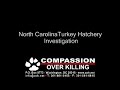 COK Investigation at a North Carolina Turkey Hatchery