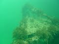PLONGEE EPAVES BASSIN FLUVIAL LE HAVRE