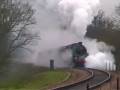 Linesiding - Standard class 4 75027 at the Bluebell Railway.wmv