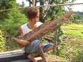 Sape Musical Instrument from Sarawak Borneo Malaysia