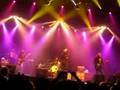 The-Black-Crowes-Twi