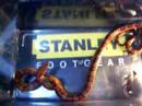 my crazy corn snake \"checkerz\"