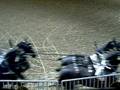 videos de Royal horse show percheron hitch 2