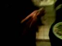 MOV00256.MP4