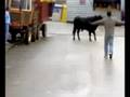 tarde de toros