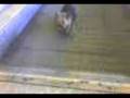 toscane sr escalator.3gp