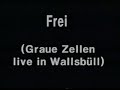 GRAUE ZELLEN LIVE BEIM WALLSBÜLL OPEN AIR 1995