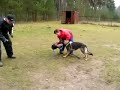 HARFA Demin dvor -baiting training