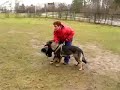 HARFA Demin dvor -baiting training