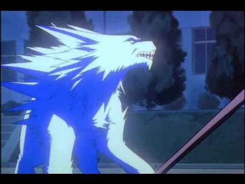 動画