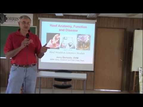 how to treat udder rot