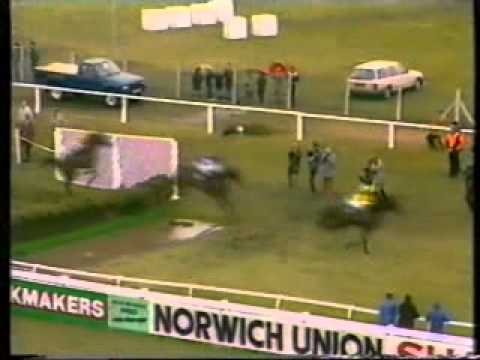 racing results cheltenham