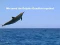 Celebrate Victory! - oceana.org Celebrate Victory! - oceana.org
