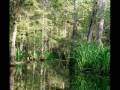 Mossy Oak Song