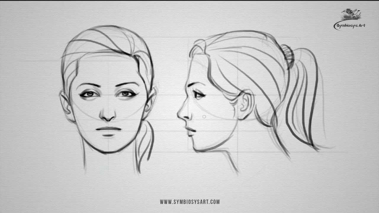 female face drawing tutorial