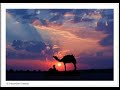Terjemahan Surah Hud (ayat 50 -68)
