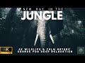 WILDLIFE 4K | RELAXING MUSIC WITH BEAUTIFUL N ..