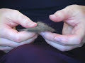 Pet Felting