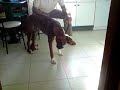 Tuca dancing.3gp Tuca dancing.3gp