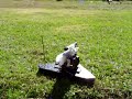 Pesky squirrels? Neighbor kids in your yard? Easy fix!