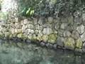 Xcaret Boat Ride