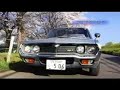 ???????LUCE RX-4 & Sakura ???????LUCE RX-4 & Sakura