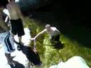 cliff jumping cliff jumping
