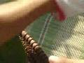 Puang Champa (A Lao Heritage Foundation project) - Part1