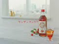香里奈-cm