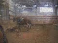 une otre chute