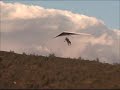 Hat Creek flying Hat Creek flying