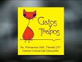 telurica tv 251   el playboy de los videojuegos y laozhabor