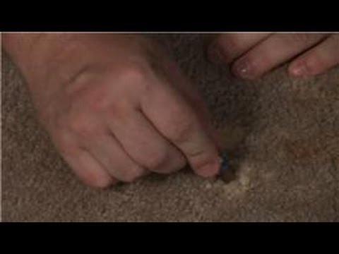 how to whiten carpet