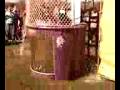 videos de Maysville High School - Perkins In the Dunk Tank