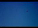 Joeys Pacific Planes Extra 260 111407