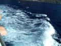 Tenerife (En medio)