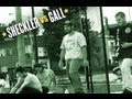 Sheckler Vs. Gall