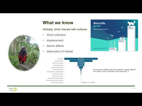 <p>Birds and windfarms in Queensland – what we do and don’t know</p>
 video thumbnail