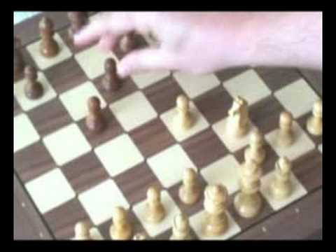chess computer