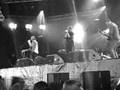 The National - Brainy @ Lowlands 2008