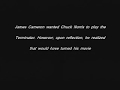 Chuck Norris Facts