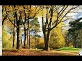Autumn Plugin Compiz Fusion