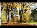 Autumn Plugin Compiz Fusion