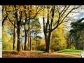 Autumn Plugin Compiz Fusion