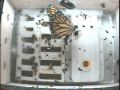 N.A.S.A. - Monarch Butterfly Emerges during the C.S.I.-03 Experiment.rm