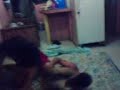 Luchitas Gil y Regi Luchitas Gil y Regi
